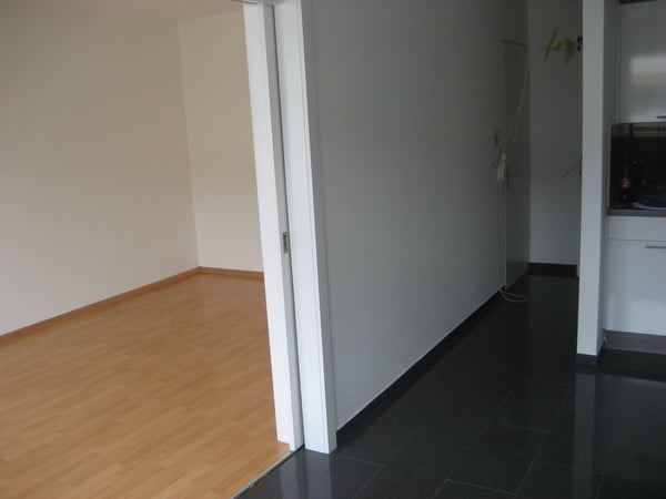 Charmante 1.5-Zimmer-Wohnung im Gundeldingen-Quartier, Basel 3