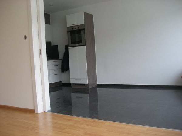 Charmante 1.5-Zimmer-Wohnung im Gundeldingen-Quartier, Basel 5