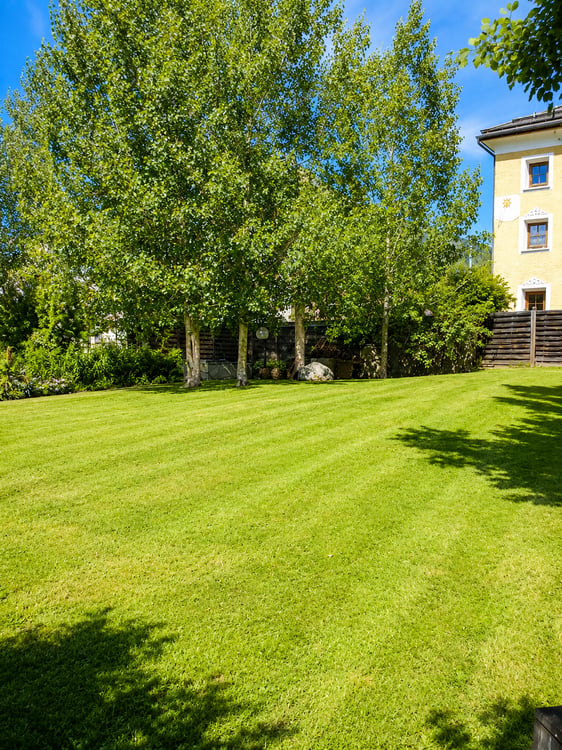 Historisches Engadiner Haus mit grossem Garten am Albulabach 10