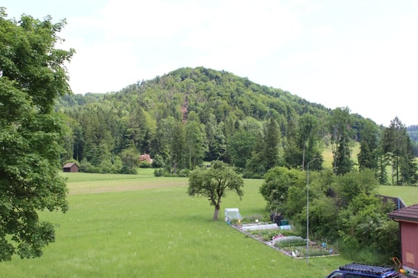 Turbenthal / Wohnen am Waldrand 2