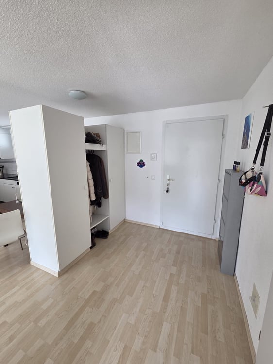 Helle 2.5-Zimmer-Terrassenwohnung im 6. OG – Winterthur, sofort verfügbar 3