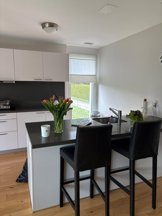 Magnifique Appartement 4,5 pièces avec Terrasse à Vich 2