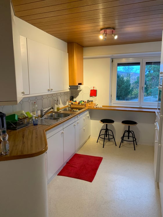 4.5-Zimmer-Wohnung in Zürich Enge 5