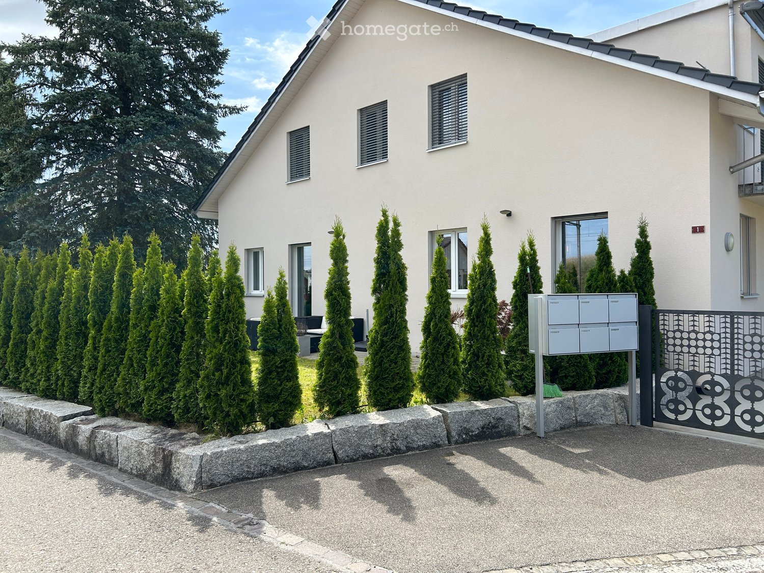 Two-story house with white exterior, multiple windows, and a row of tall, green coniferous trees lining the front yard.