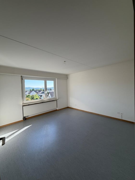 Sonnige 4.5-Zimmer-Wohnung in Untersiggenthal 6