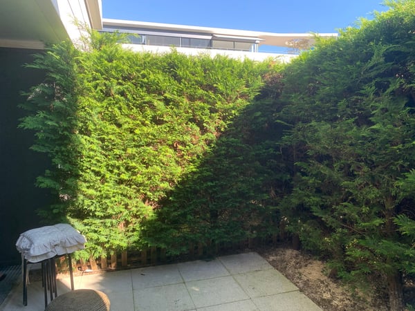 Charming 1.5-Room Terrace Apartment with no monthly charges 2