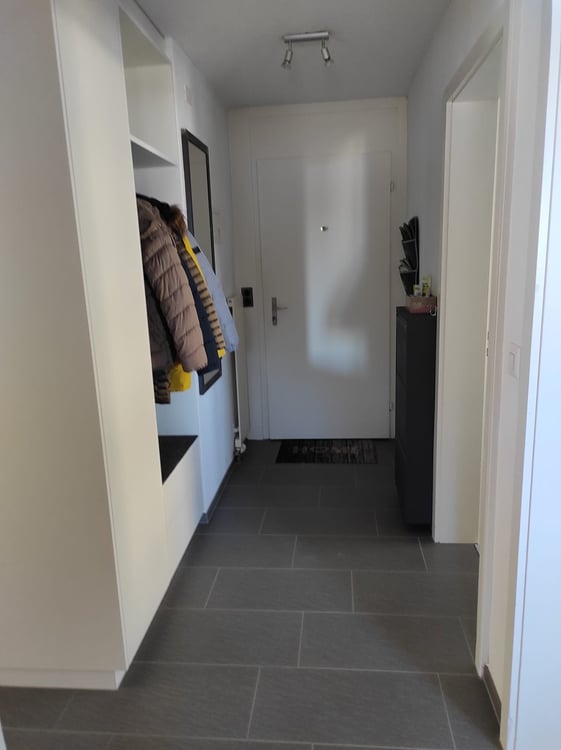 Charmante teilmöblierte 3-Zimmer-Wohnung mit Kamin, nahe Lenzerheide 5