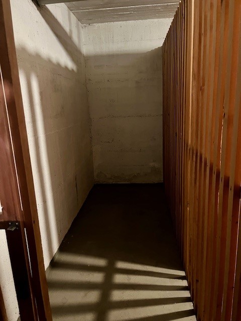 Frisch renovierte 4-Zimmer-Wohnung mit Balkon und schöner Aussicht in Mollis 9
