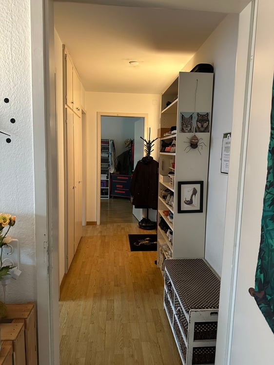 2-Zimmer-Wohnung mit Balkon im beliebten Zürich-Wollishofen 3