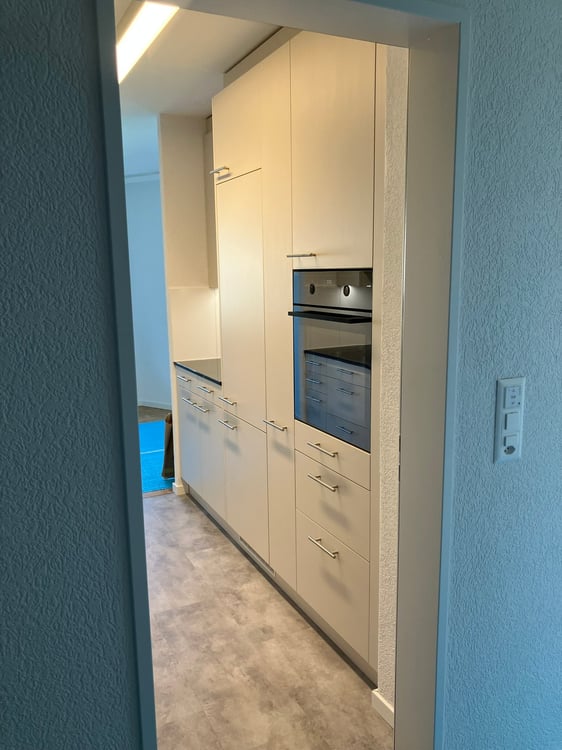 Grosse Wohnung an ruhiger Lage, Nähe Irchelpark, komplett renoviert 3