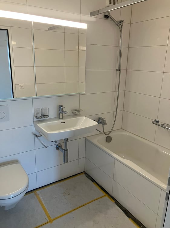 Grosse Wohnung an ruhiger Lage, Nähe Irchelpark, komplett renoviert 4