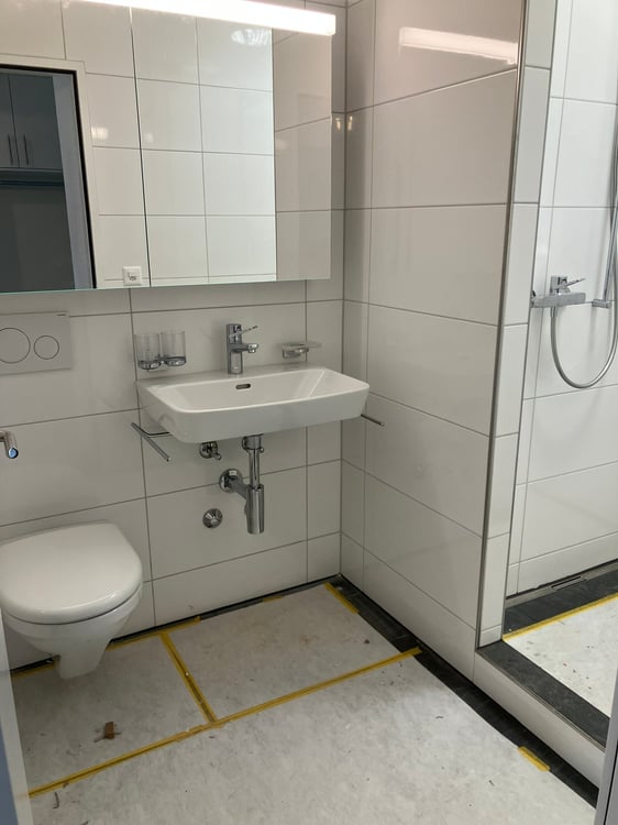 Grosse Wohnung an ruhiger Lage, Nähe Irchelpark, komplett renoviert 5
