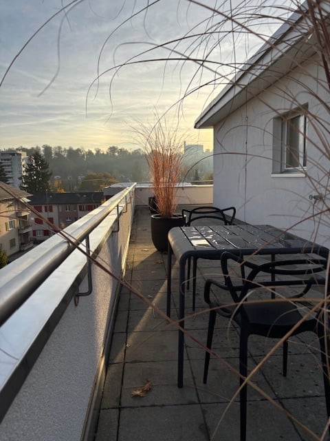Balcony, tables, chairs, plants, city view, gray wall