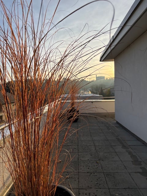 Grosse Terrasse und Panoramablick - stadtnah 15