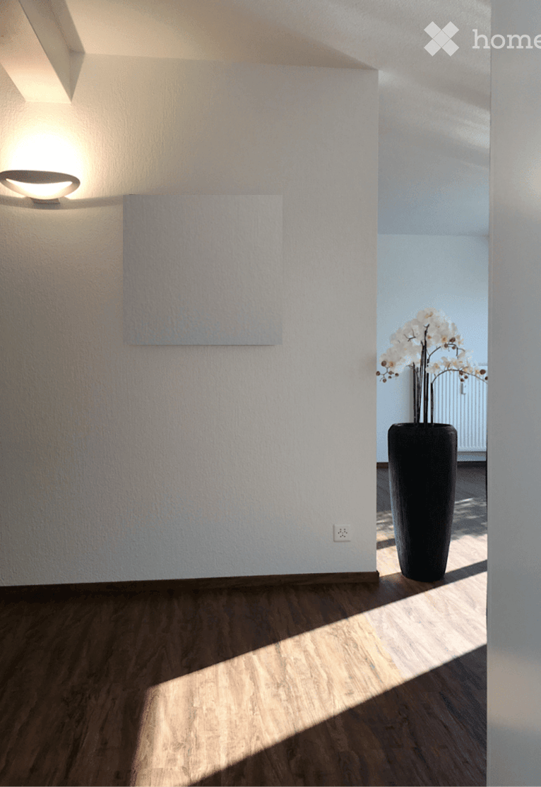 wooden floor, white walls, floor lamp, potted plant, white outlet on wall, window to the right