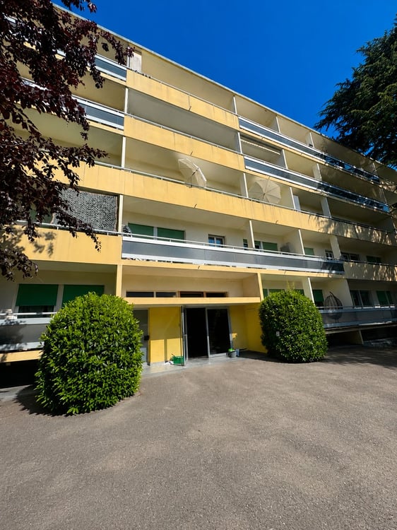 Charmant studio de 2 pièces avec terrasse sur le toit à Meyrin 3