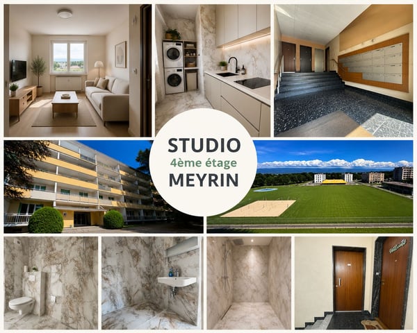 Charmant studio de 2 pièces avec terrasse sur le toit à Meyrin 1