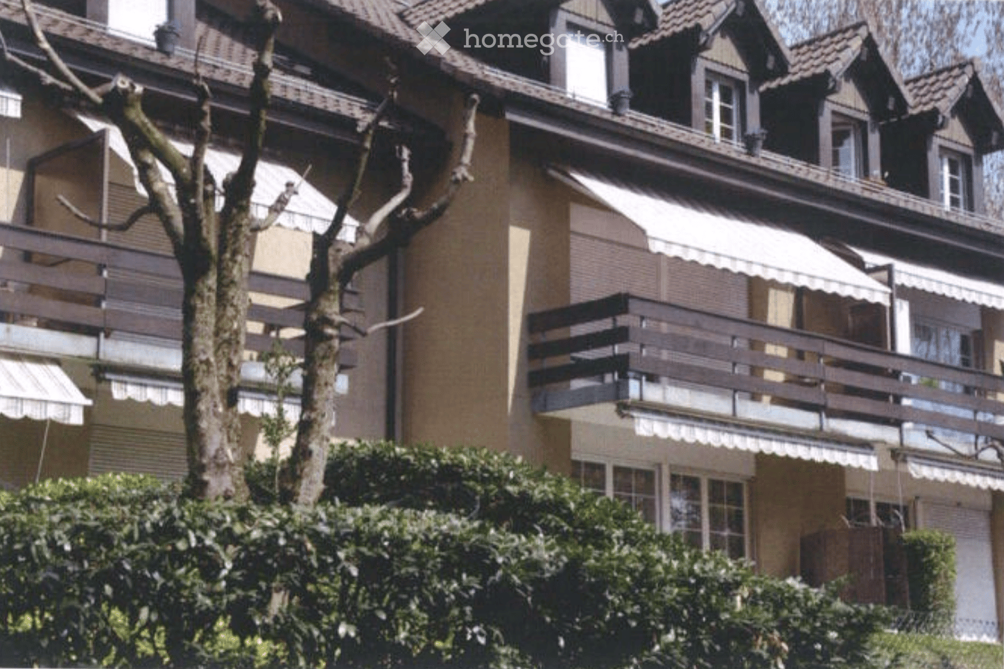 Multi-story residential building with balconies, large windows, and a tree in the foreground.