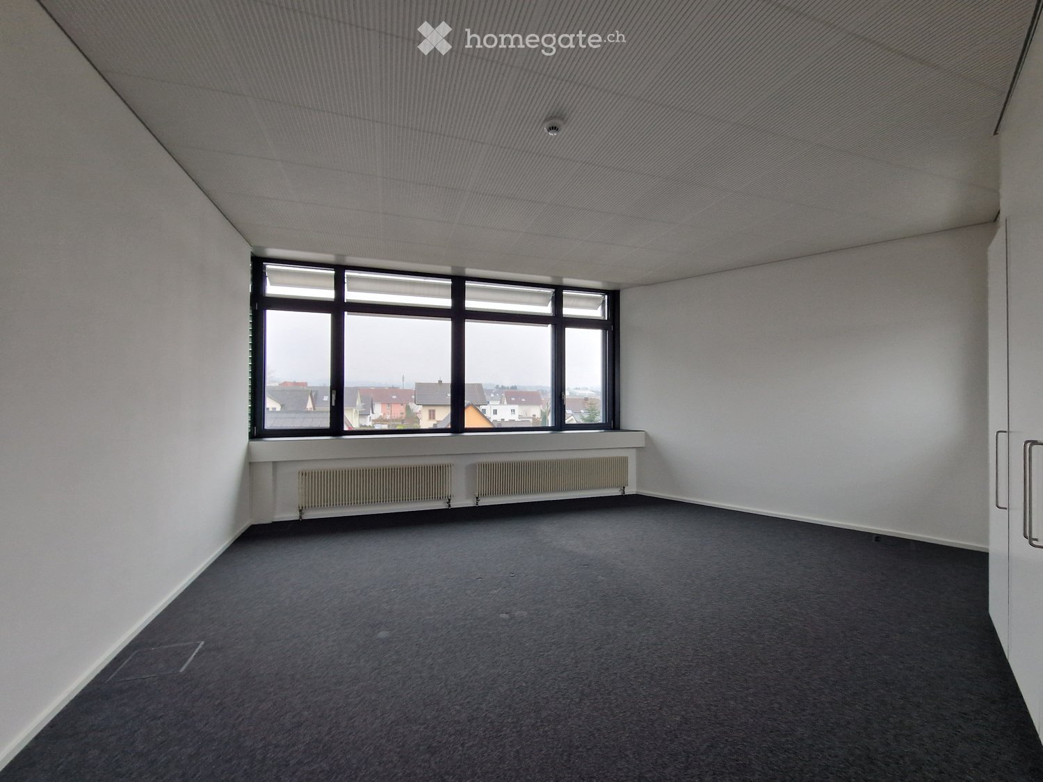 Empty room with white walls, grey carpet, large window with view, radiator, and a door with a silver handle.