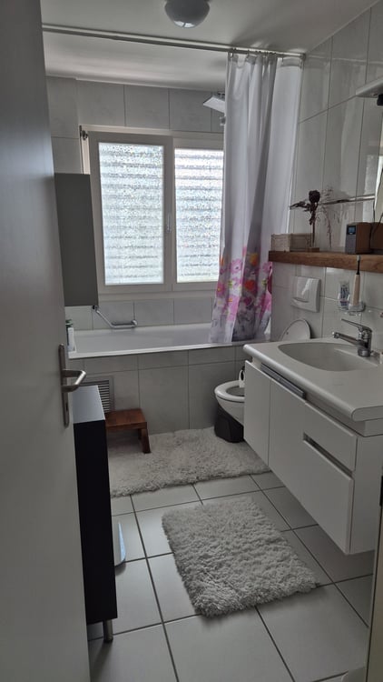 Helle und gepflegte 3.5-Zimmer-Wohnung an zentraler Lage in Wädenswil 2