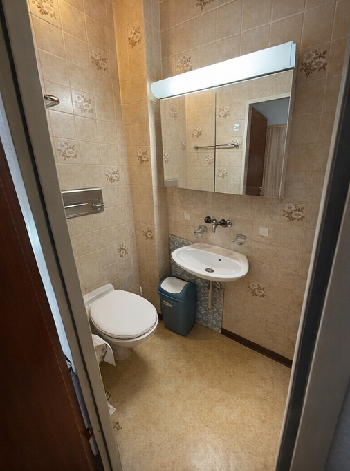 Gemütliches 1-Zimmer-Apartment im Erdgeschoss in Basel 3