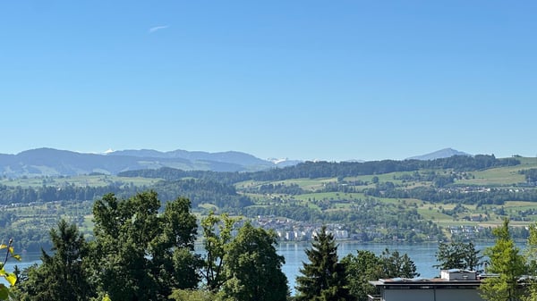 Grosszügiges Terrassenhaus mit Seesicht in Meilen zu verkaufen 1