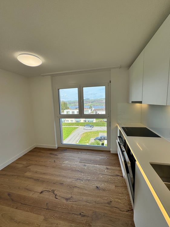 Moderne 4.5-Zimmer-Wohnung mit Seeblick in Beinwil am See 3