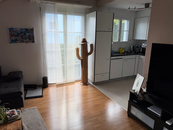 Charmante 2.5-Zimmer-Dachwohnung mit Panoramablick in Benken SG 8