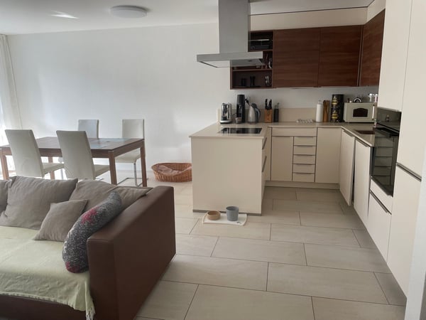 3.5-Zimmer Wohnung im Zürich, Schwamendingen 2