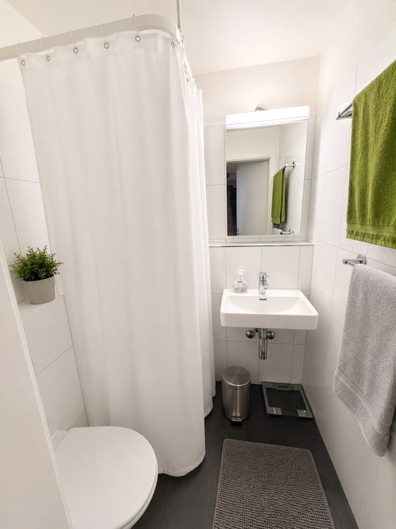Renovated 3.5 room apartment in Center of Wiedikon from 1. July 2