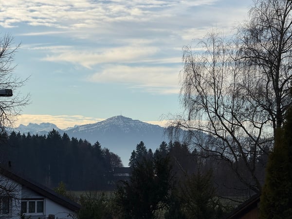 Einfamilienhaus in Hausen am Albis 15