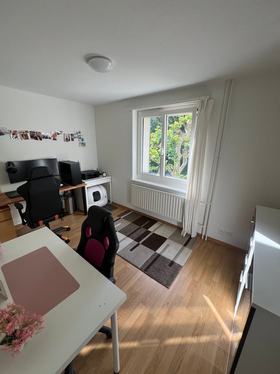 Helle 3-Zimmer-Wohnung mit Balkon an ruhiger Lage nahe der Reuss in Emmen Dorf 2