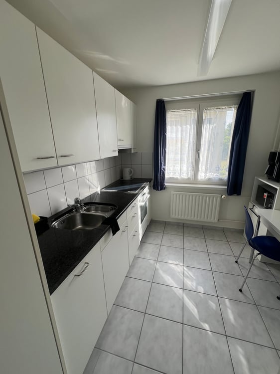 Helle 3-Zimmer-Wohnung mit Balkon an ruhiger Lage nahe der Reuss in Emmen Dorf 4