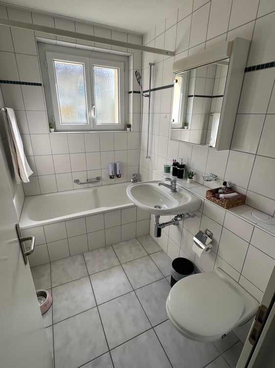 Helle 3-Zimmer-Wohnung mit Balkon an ruhiger Lage nahe der Reuss in Emmen Dorf 5