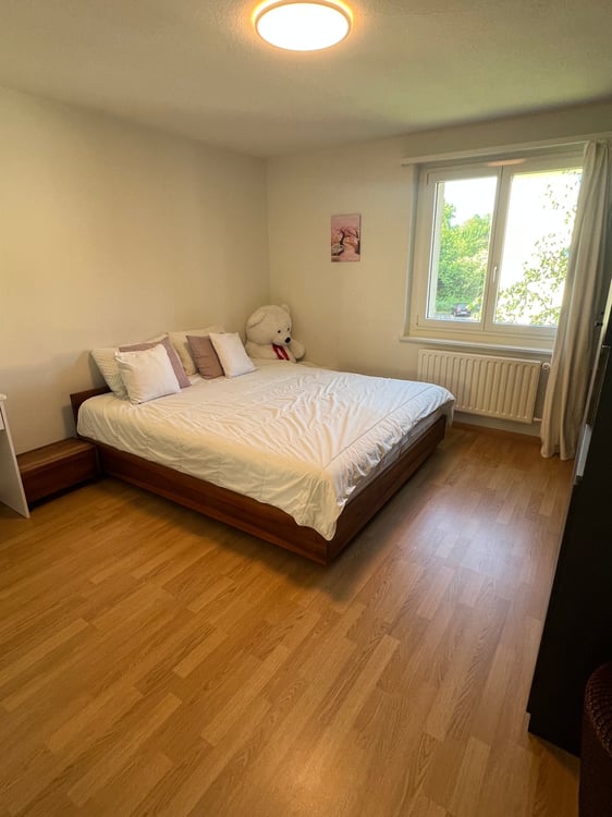 Helle 3-Zimmer-Wohnung mit Balkon an ruhiger Lage nahe der Reuss in Emmen Dorf 3