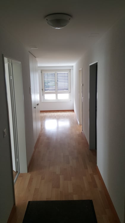 Helle 3.5-Zimmer-Wohnung in Unterägeri 2