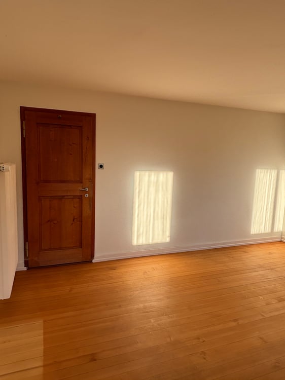 Charmantes 1.5-Zimmer-Studio mit Balkon und Bergblick in Chur 6
