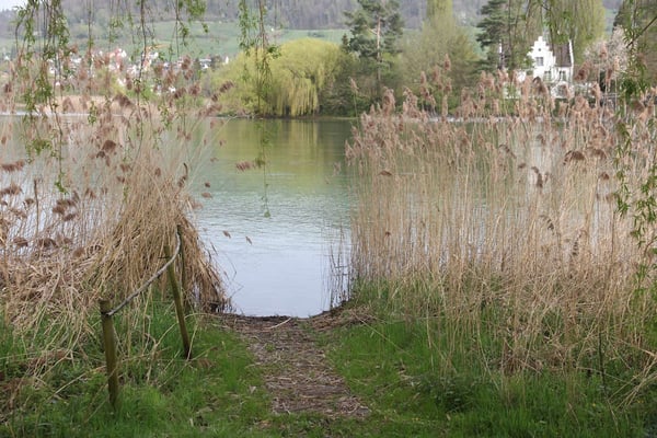 Dachwohnung in Eschenz, grosser Garten, Rheinzugang 15
