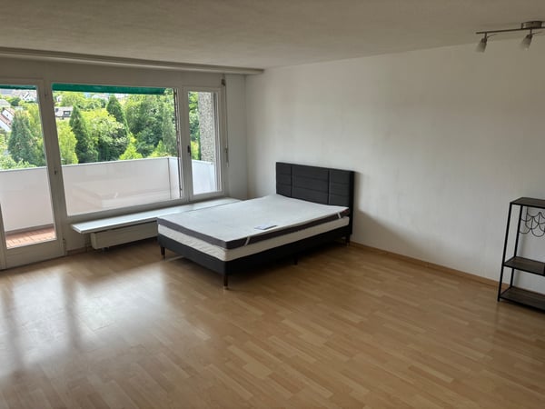 Helle 1.5-Zimmer-Wohnung im 10. Stock mit Balkon und schöner Aussicht in Dietikon 4