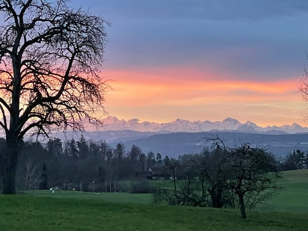 Renovierte Doppeleinfamilienhaushälfte in Birchwil an ruhiger Lage mit unverbaubarer Aussicht 13