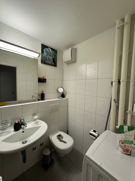 3.5-Zimmerwohnung im 3.OG (ohne Lift) 5