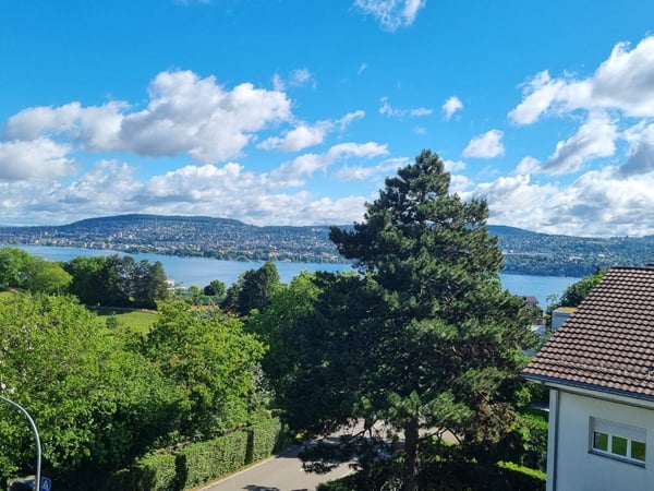 4 1/2 Zimmerwohnung mit wunderschöner Seesicht 2