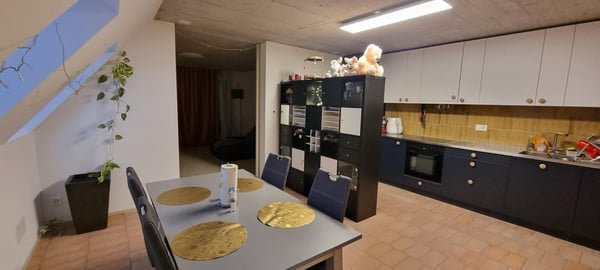 Gemütliche 3.5 Dachzimmerwohnung im idyllischen Oberhasli 3