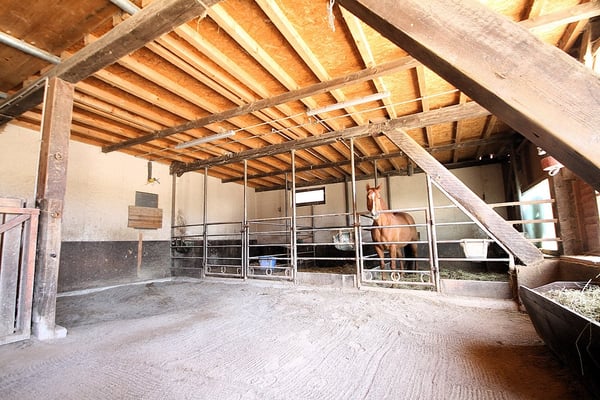 Maison de caractère avec écurie et grand terrain à Magstatt-le-Bas 3