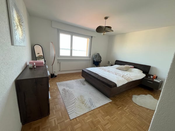 Appartement de 5,5 pièces avec balcon et vue imprenable sur les Alpes et le lac 3