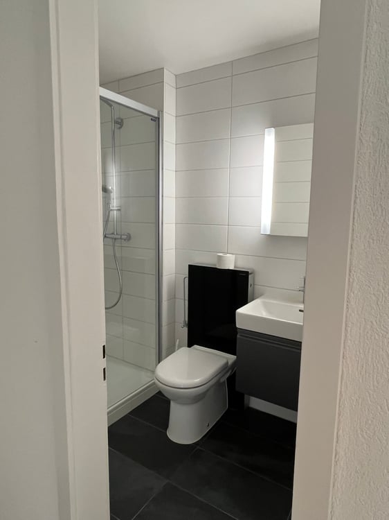 Appartement de 5,5 pièces avec balcon et vue imprenable sur les Alpes et le lac 6