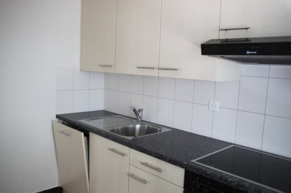 Schöne, helle 2-Zi-Wohnung mit Gartensitzplatz an sonniger und ruhiger Lage 2