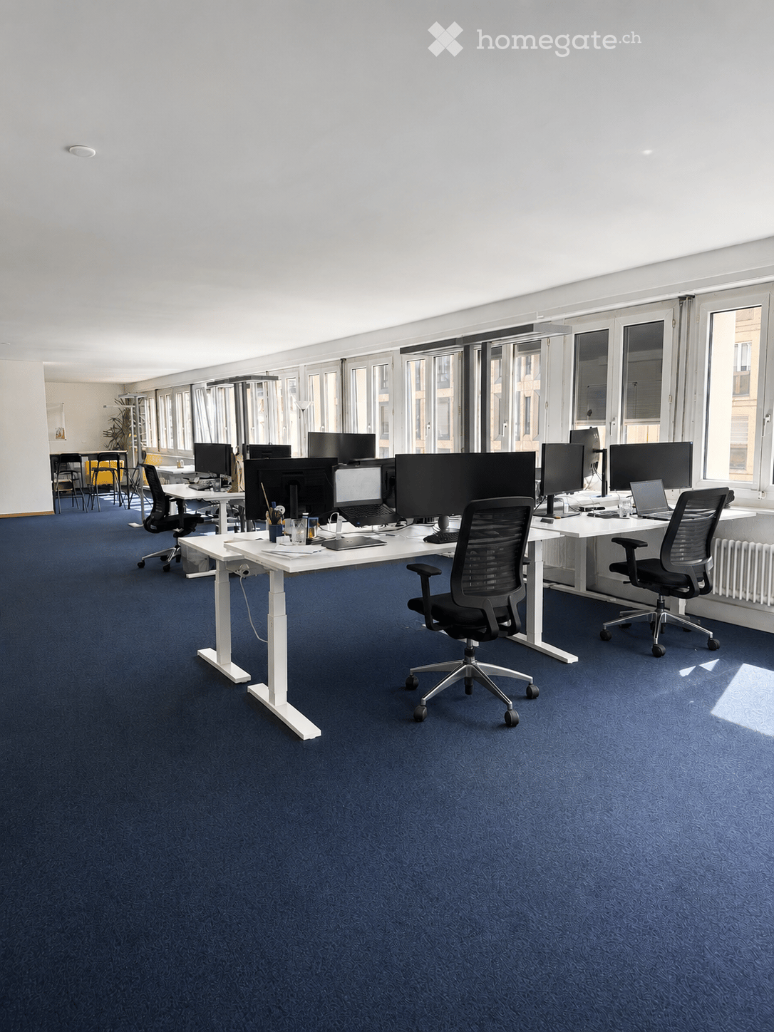 Modern office space with blue carpet, white desks, ergonomic chairs, multiple monitors, laptops, and office supplies.
