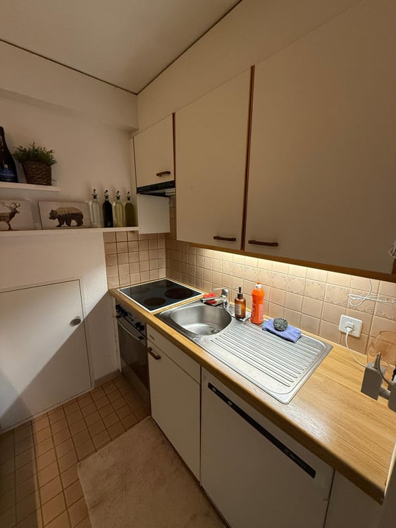 Charmante [2.5]-Zimmer-Einliegerwohnung in Baar – ruhig, hell, grosse Terrasse 11