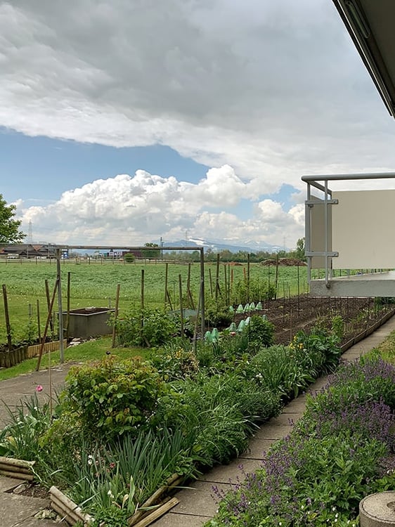 4-Zimmerwohnung in Baar, im Grünen 7